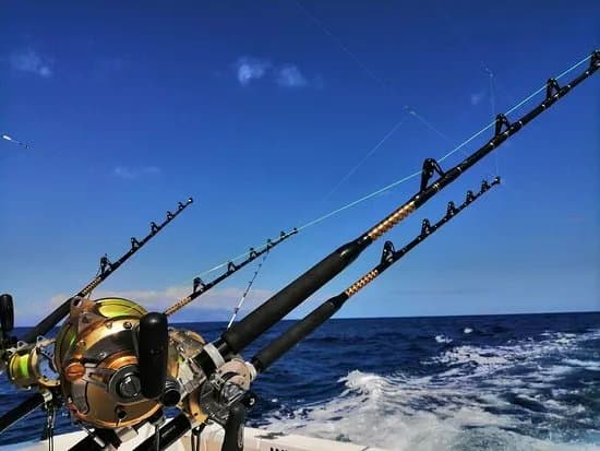 Happy Hooker Tenerife Fishing