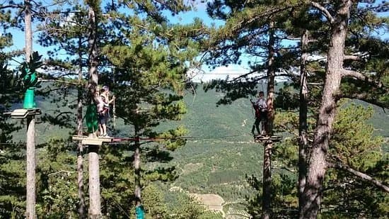 Les Barons Perches