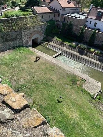 Tata Castle