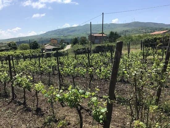 Tenuta San Giaime