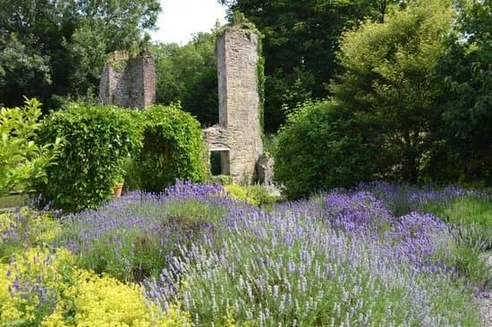 Fairbrook House Gardens & Museum of Contemporary Figurative Art