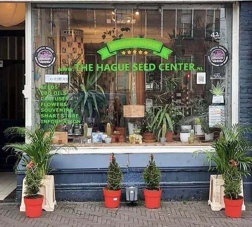 The Hague Seed Center Holland