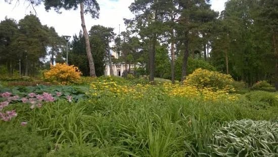 Isopuisto Park