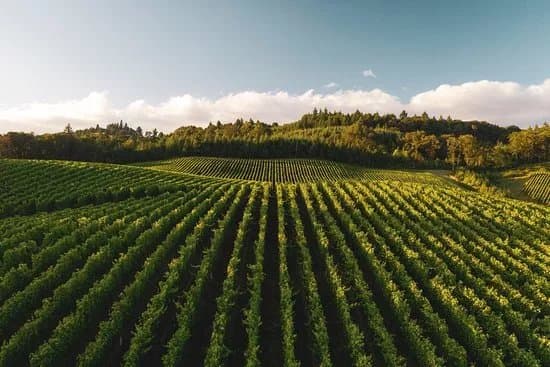 Greece By The Glass - Wine Tours