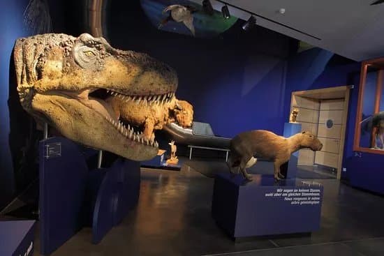 Luxembourg National Museum of Natural History