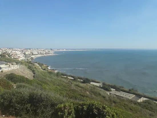 Cabo Mondego Viewpoint