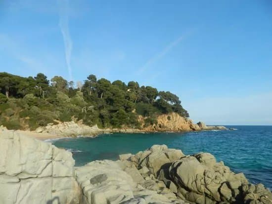 Playa Cala Sa Boadella