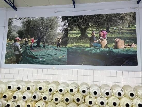 Museum of Olive Tree & Oil Striligkas