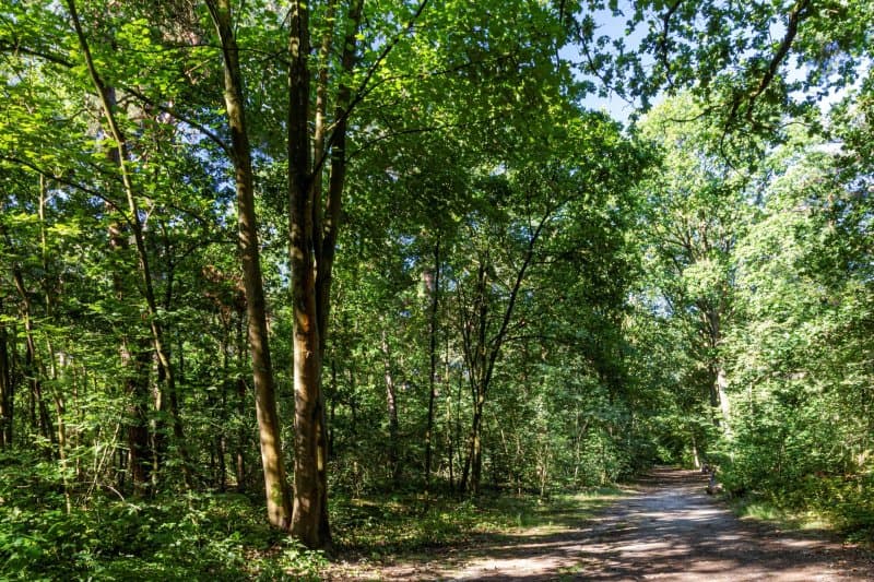 Kattekensberg