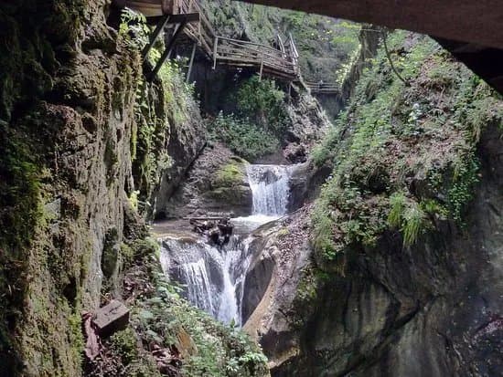Dr. Vogelgesang-Klamm