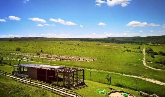 Ostrich Valley