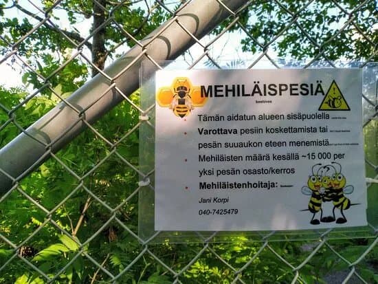 Malminkartanon Omenatarha