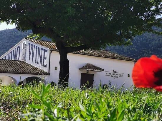 Casa Agricola Pepe Mendoza