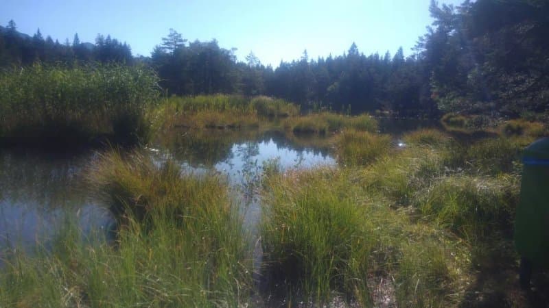 Moeserer See