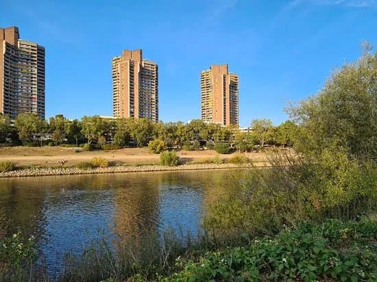 Neckarstrand Mannheim