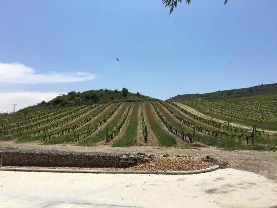 Bodega Finca Cardaba