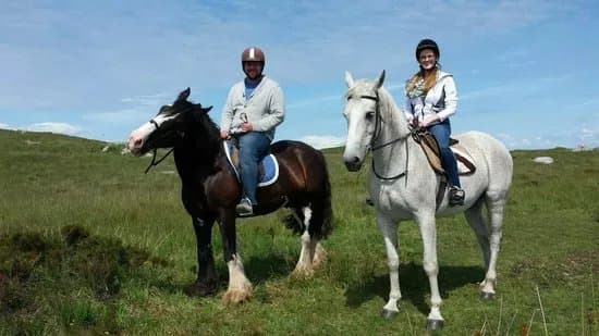 Moycullen Riding Centre