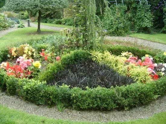 Knockpatrick Gardens