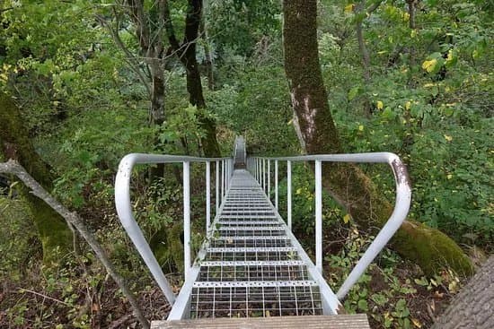 Saka Klindimoisa Hiking Trail