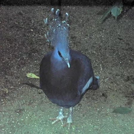 Vogelpark Turnersee