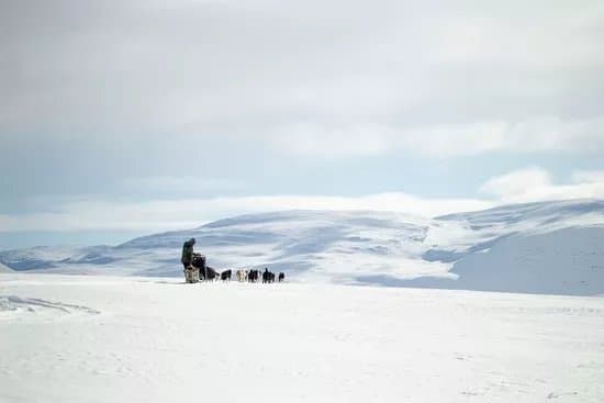 Gargia Husky The True North Experience