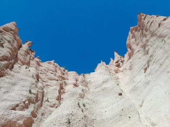 Lame Rosse