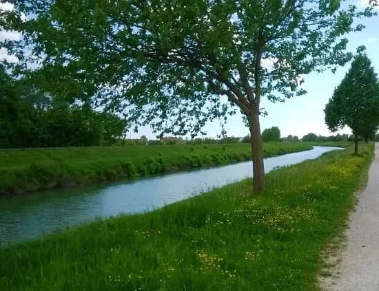 Lungargine scaricatore sinistro a Bassanello