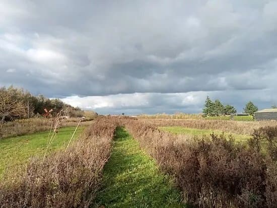 Ziedewij Natuurgoed