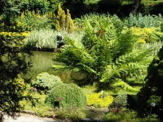 Taman Arboretum Trompenburg