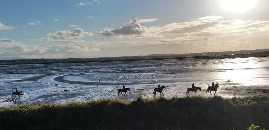 Corballis Farm Horse Trekking & Therapeutic Riding Centre