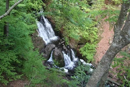 Forsakar Nature Reserve