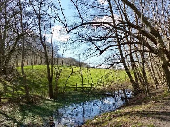Lyngby Aamose