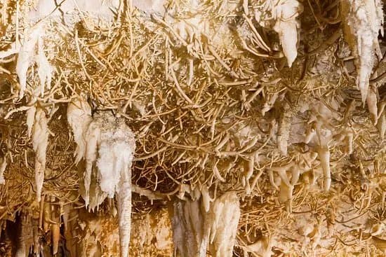 Cuevas de Pozalagua