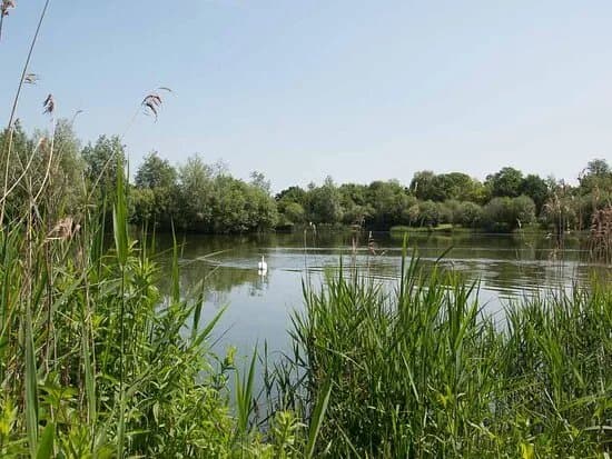 Billingford Lakes & Country Park