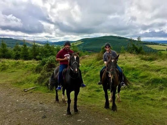 Birr Equestrian Centre