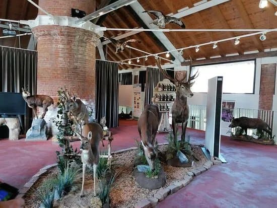 Museo La Fornace