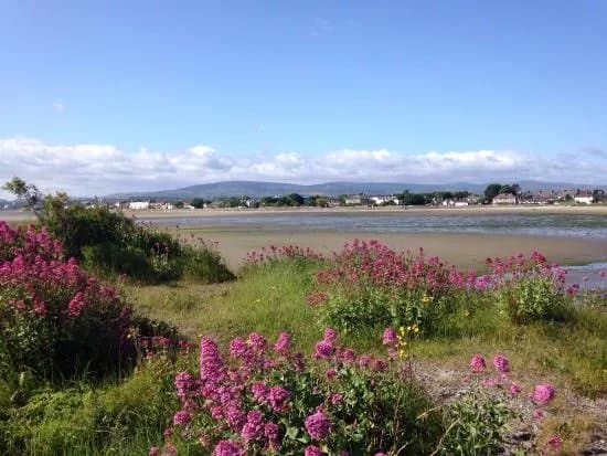 Irishtown Nature Park