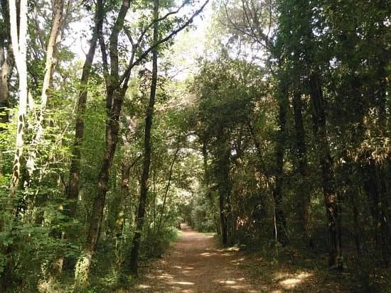 Parco Nazionale Del Circeo