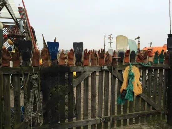 Shipwreck and Beachcombing Museum Flora