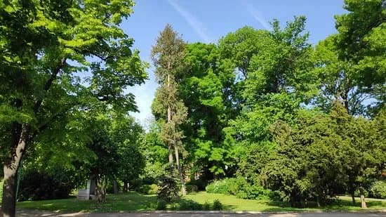 Town Park