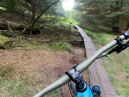 Cruagh Wood