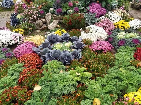 Botanic Garden Anastasie Fatu (Gradina Botanica Anastasie Fatu)