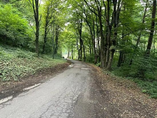 Studnicka ‘Well’ Lasce