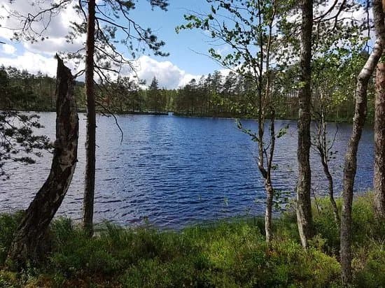 Heisanharju