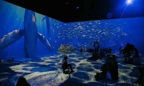 Ispace - Immersive Cinema
