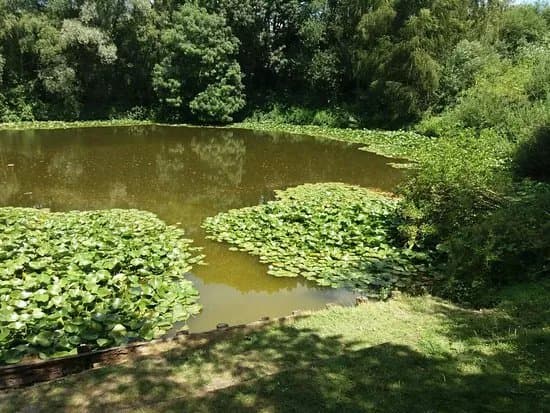 Spanbroekmolen Mine Crater