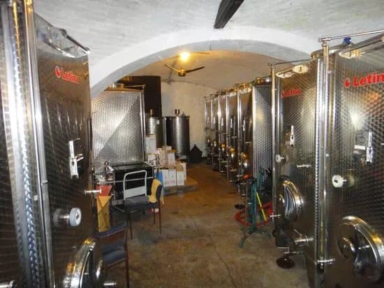 Family Winery Vinik