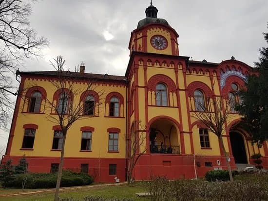 The Grammar School (Gymanzium)