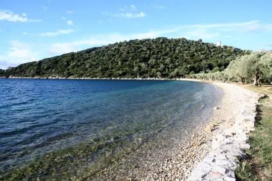 Dexia Beach