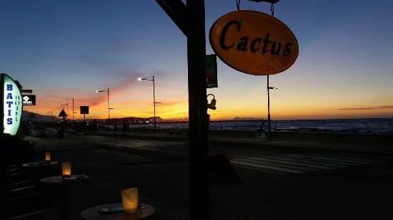 Cactus Beach Bar